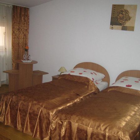 Pensiunea Nane Sibiu Extérieur photo