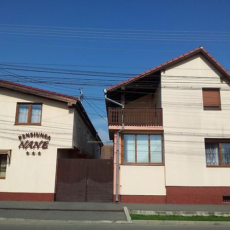 Pensiunea Nane Sibiu Extérieur photo