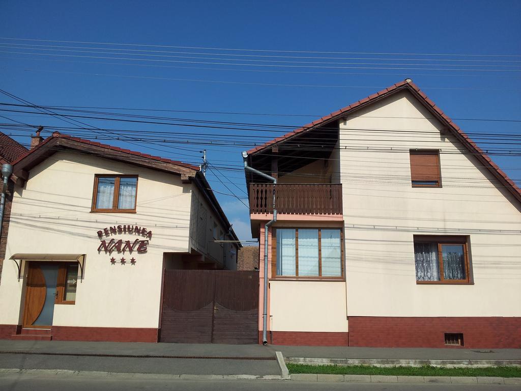 Pensiunea Nane Sibiu Extérieur photo